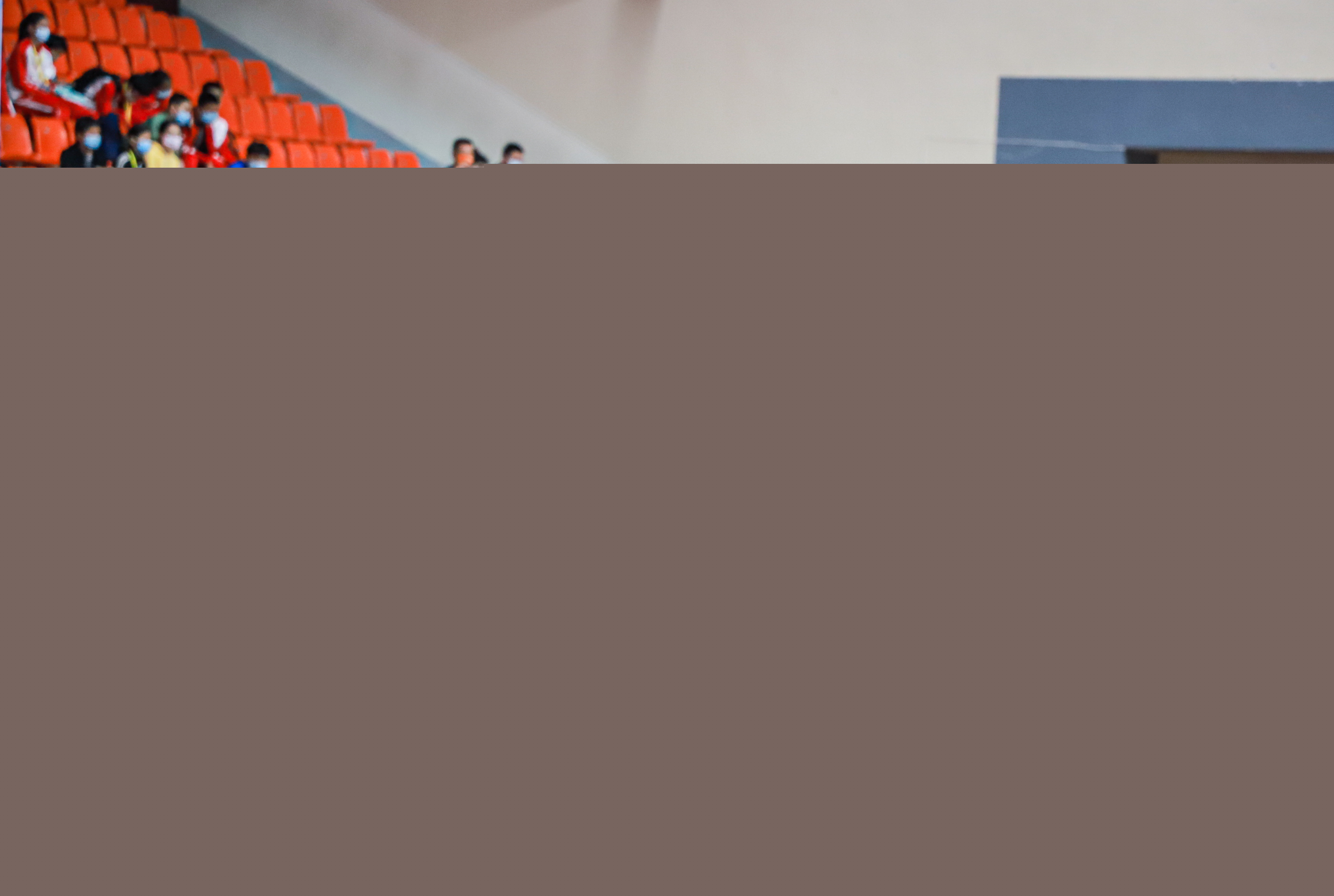 舒马赫的辉 舒马赫的辉